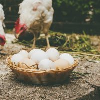 homemade-chicken-eggs-in-a-basket-selective-focus-2022-07-01-16-34-40-utc-min